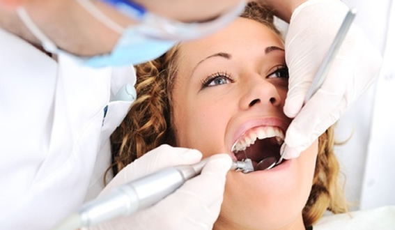 Dental fillings Lower Hutt dentists